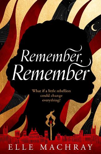 Бумажная книга «Remember, Remember» - фото №1