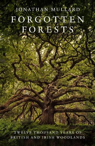 Бумажная книга «Forgotten Forests: Twelve Thousand Years of British and Irish Woodlands», автор Джонатан Маллард - фото №1