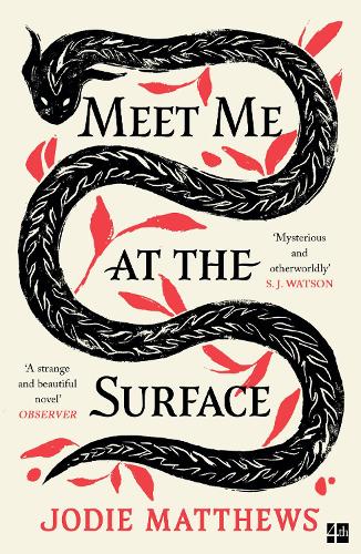 Бумажная книга «Meet Me at the Surface», автор Джоди Мэтьюс - фото №1