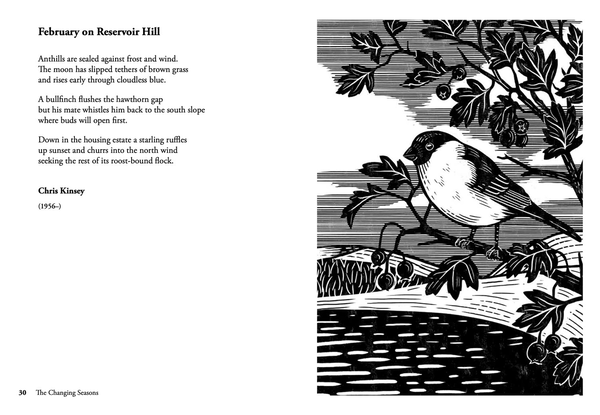 Бумажная книга «Nature Poems : Treasured Classics and New Favourites», автор Дебора Альма - фото №1