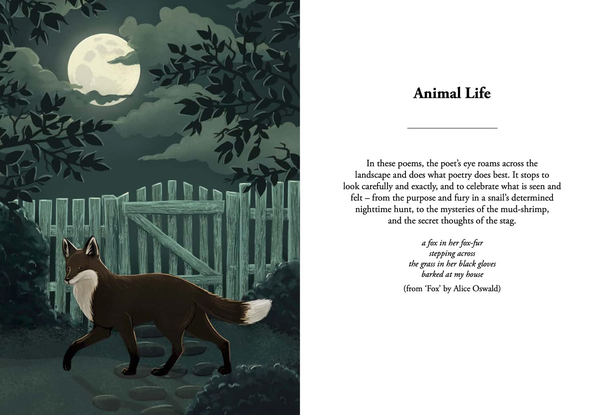 Бумажная книга «Nature Poems : Treasured Classics and New Favourites», автор Дебора Альма - фото №1