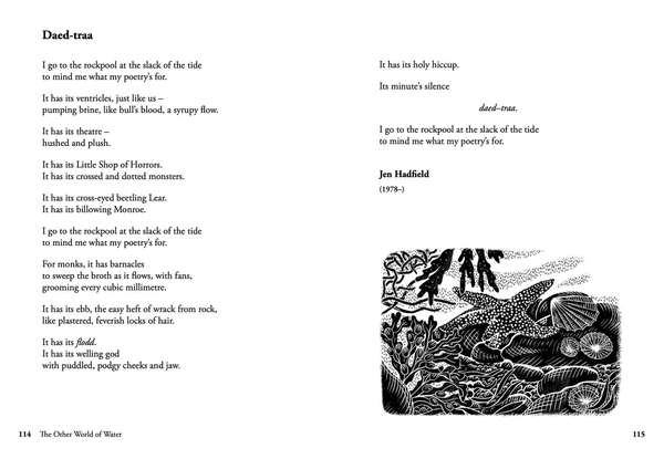 Бумажная книга «Nature Poems : Treasured Classics and New Favourites», автор Дебора Альма - фото №1