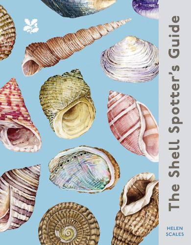 Бумажная книга «The Shell-spotter’s Guide» - фото №1
