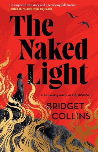 Paper book «The Naked Light», author Bridget Collins - фото №1