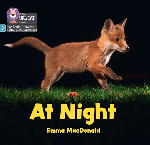 Бумажная книга «At Night: Phase 3 Set 1 Blending Practice», автор Эмма Макдональд - фото №1