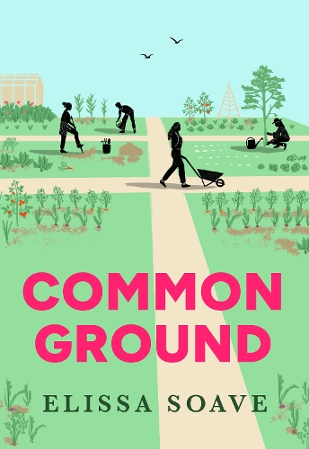 Паперова книга «Common Ground», автор Елісса Соаве - фото №1