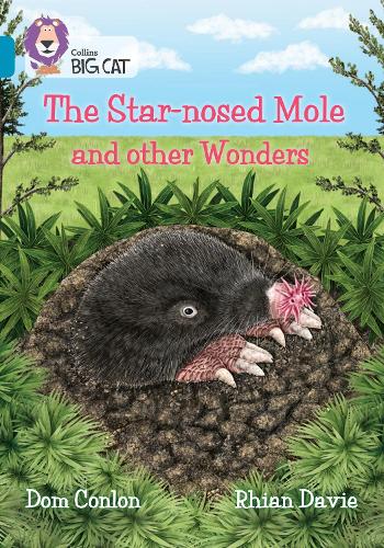 Паперова книга «The Star-nosed Mole and other Wonders: Band 13/Topaz», автор Дом Конлон - фото №1