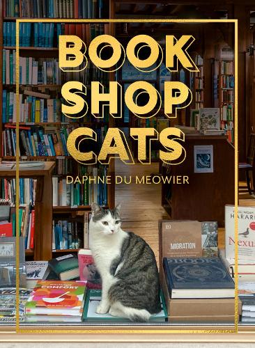 Паперова книга «Bookshop Cats», автор Дафна дю Мяуер - фото №1