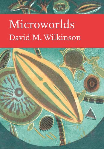 Бумажная книга «Microworlds», автор Дэвид Уилкинсон - фото №1