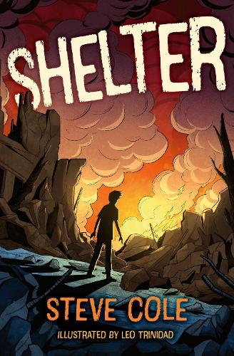 Бумажная книга «Shelter», автор Стив Коул - фото №1