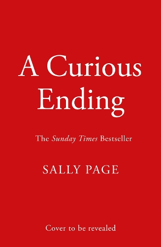 Paper book «A Curious Ending», author Sally Page - фото №1