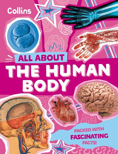Бумажная книга «The Human Body: Discover Fascinating Facts About Our Amazing Anatomy», автор Collins Kids - фото №1