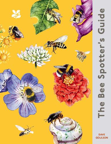 Бумажная книга «The Bee Spotter’s Guide», автор Дейв Голсон - фото №1