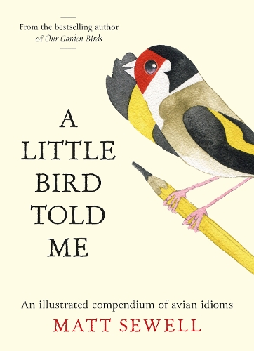 Бумажная книга «A Little Bird Told Me: An Illustrated Compendium of Bird Phrases», автор Мэтт Сьюэлл - фото №1