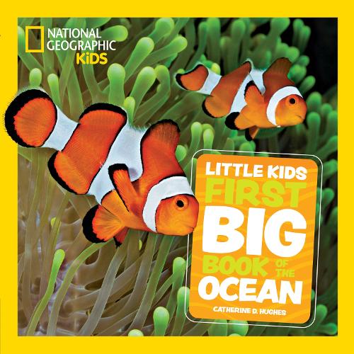 Бумажная книга «Little Kids First Big Book of The Ocean», автор Кэтрин Д. Хьюз - фото №1