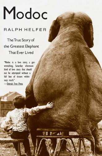 Паперова книга «Modoc: The True Story of the Greatest Elephant That Ever Lived», автор Ральф Хелфер - фото №1