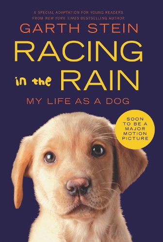 Бумажная книга «Racing in the Rain: My Life as a Dog», автор Гарт Стайн - фото №1