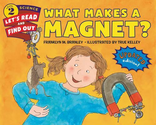 Паперова книга «What Makes a Magnet?», автор Франклін М. Бренлі - фото №1