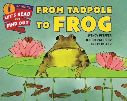 Паперова книга «From Tadpole to Frog», автор Венді Пфеффер - фото №1