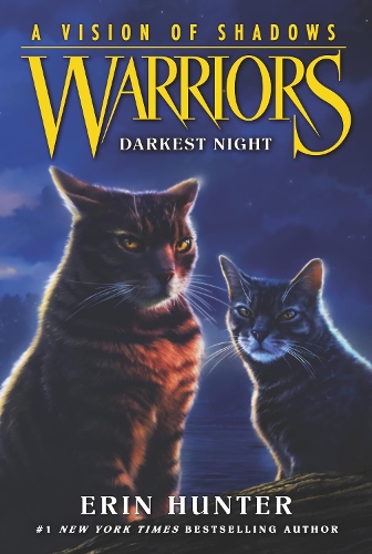 Бумажная книга «Warriors: A Vision of Shadows #4: Darkest Night», автор Эрин Хантер - фото №1