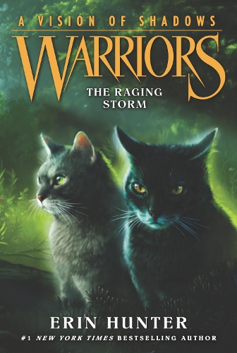 Бумажная книга «Warriors: A Vision of Shadows #6: The Raging Storm», автор Эрин Хантер - фото №1