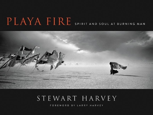 Паперова книга «Playa Fire: Spirit and Soul at Burning Man», автор Стюарт Харві - фото №1