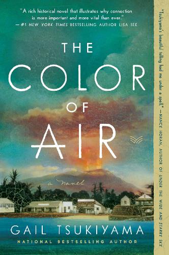 Бумажная книга «The Color of Air: A Novel», автор Гейл Цукияма - фото №1