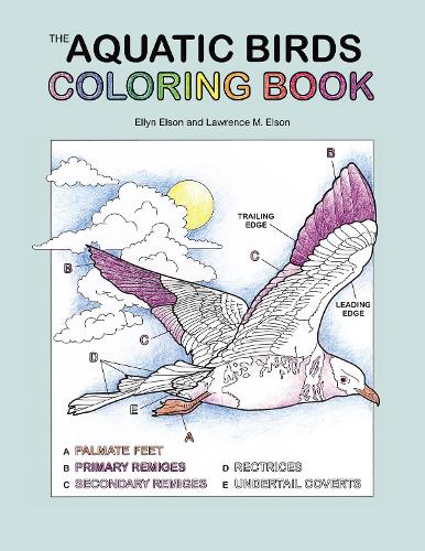 Паперова книга «The Aquatic Birds Coloring Book: A Coloring Book», автор Coloring Concepts Inc. - фото №1