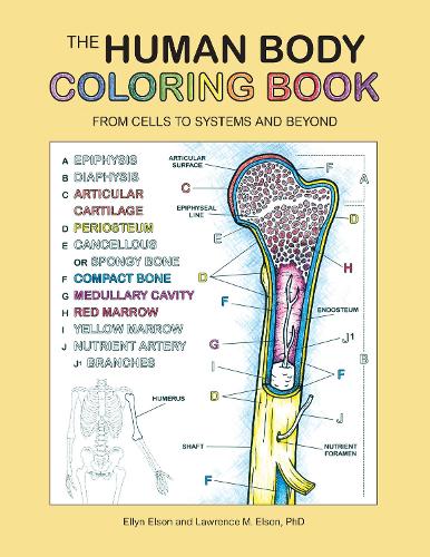 Паперова книга «The Human Body Coloring Book: From Cells to Systems and Beyond», автор Coloring Concepts Inc. - фото №1