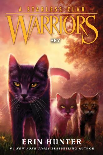 Бумажная книга «Warriors: A Starless Clan #2: Sky», автор Эрин Хантер - фото №1
