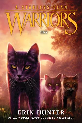 Бумажная книга «Warriors: A Starless Clan #2: Sky», автор Эрин Хантер - фото №1