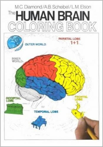 Паперова книга «The Human Brain Coloring Book: A Coloring Book», авторів Арнольд Б. Шейбель, Маріан К. Даймонд - фото №1