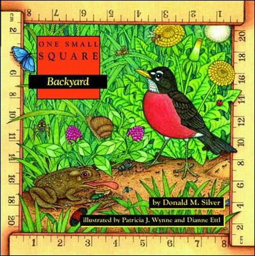 Бумажная книга «Backyard», авторов Дональд Сильвер, Патриция Уинн - фото №1
