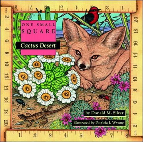Бумажная книга «Cactus Desert», авторов Дональд Сильвер, Патриция Уинн - фото №1