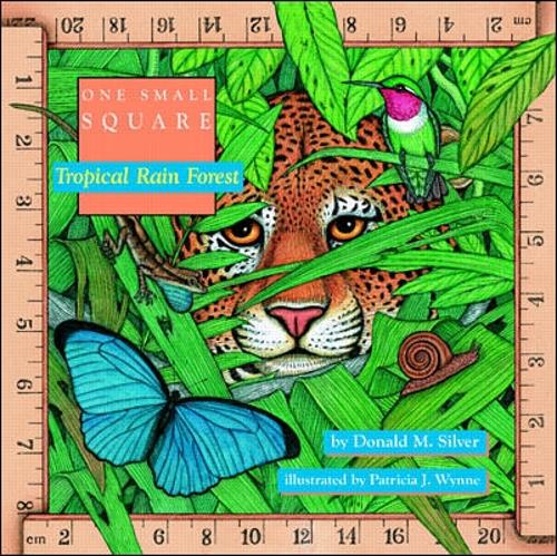 Бумажная книга «Tropical Rain Forest», автор Дональд Сильвер - фото №1