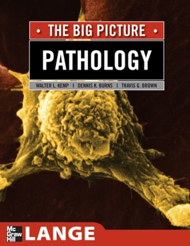 Паперова книга «Pathology: The Big Picture», авторів Тревіс Браун, Вільям Кемп - фото №1