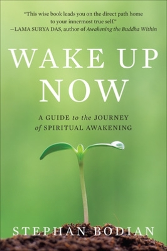 Бумажная книга «Wake Up Now», автор Стефан Бодиан - фото №1