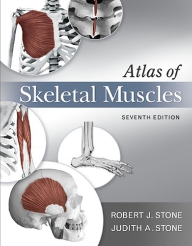 Бумажная книга «Atlas of Skeletal Muscles», автор Джудит Стоун - фото №1