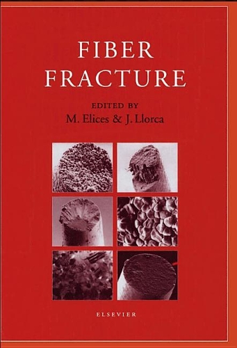 Паперова книга «Fiber Fracture», авторів Дж. Ллорка, М. Елісес - фото №1