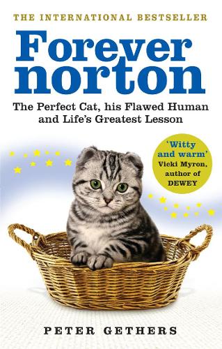Бумажная книга «Forever Norton: The Perfect Cat, his Flawed Human and Life's Greatest Lesson», автор Питер Гитерс - фото №1