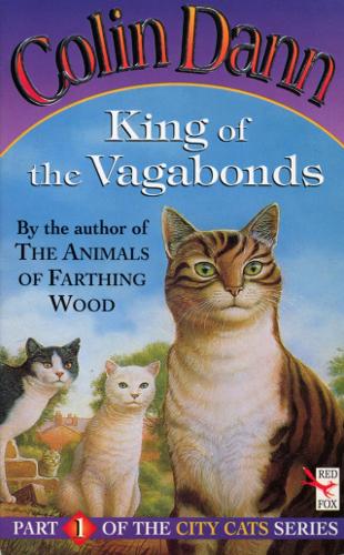 Паперова книга «King Of The Vagabonds», автор Колін Данн - фото №1