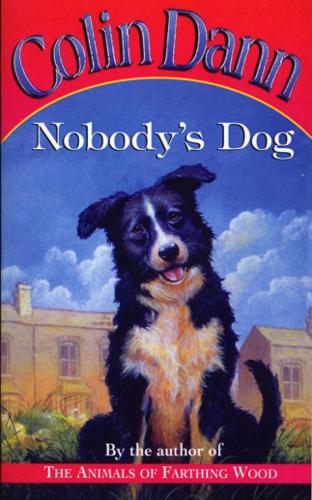 Паперова книга «Nobody's Dog», автор Колін Данн - фото №1