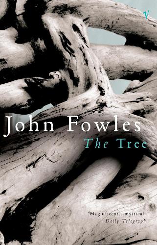 Бумажная книга «The Tree» - фото №1