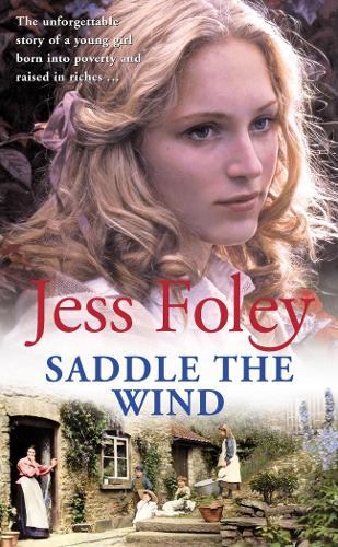 Паперова книга «Saddle The Wind», автор Джесс Фолі - фото №1