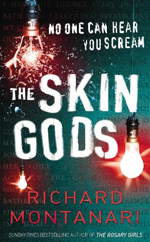 Бумажная книга «The Skin Gods» - фото №1