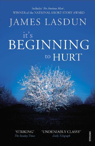 Бумажная книга «It's Beginning To Hurt» - фото №1