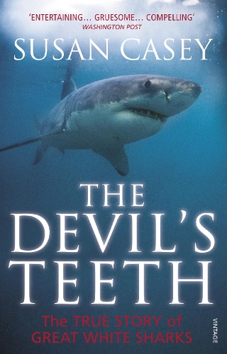 Бумажная книга «The Devil's Teeth» - фото №1
