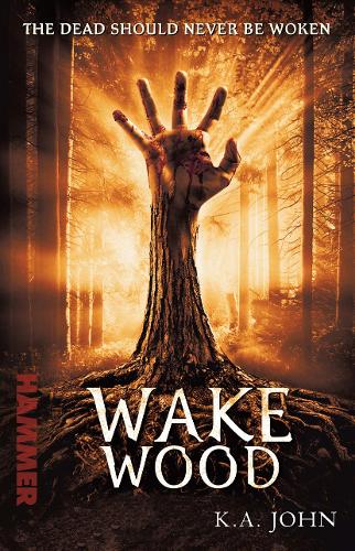 Бумажная книга «Wake Wood», автор А. Джон - фото №1