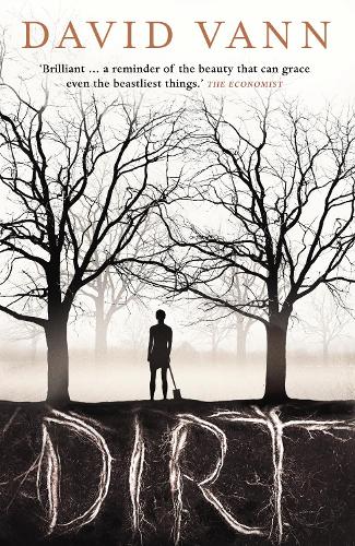 Бумажная книга «Dirt», автор Дэвид Ванн - фото №1
