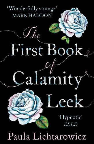 Бумажная книга «The First Book of Calamity Leek», автор Паула Лихтарович - фото №1
